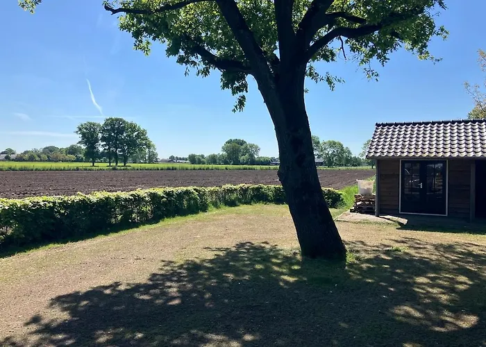 Klassiek Veluws Huis Onder De Beuken
